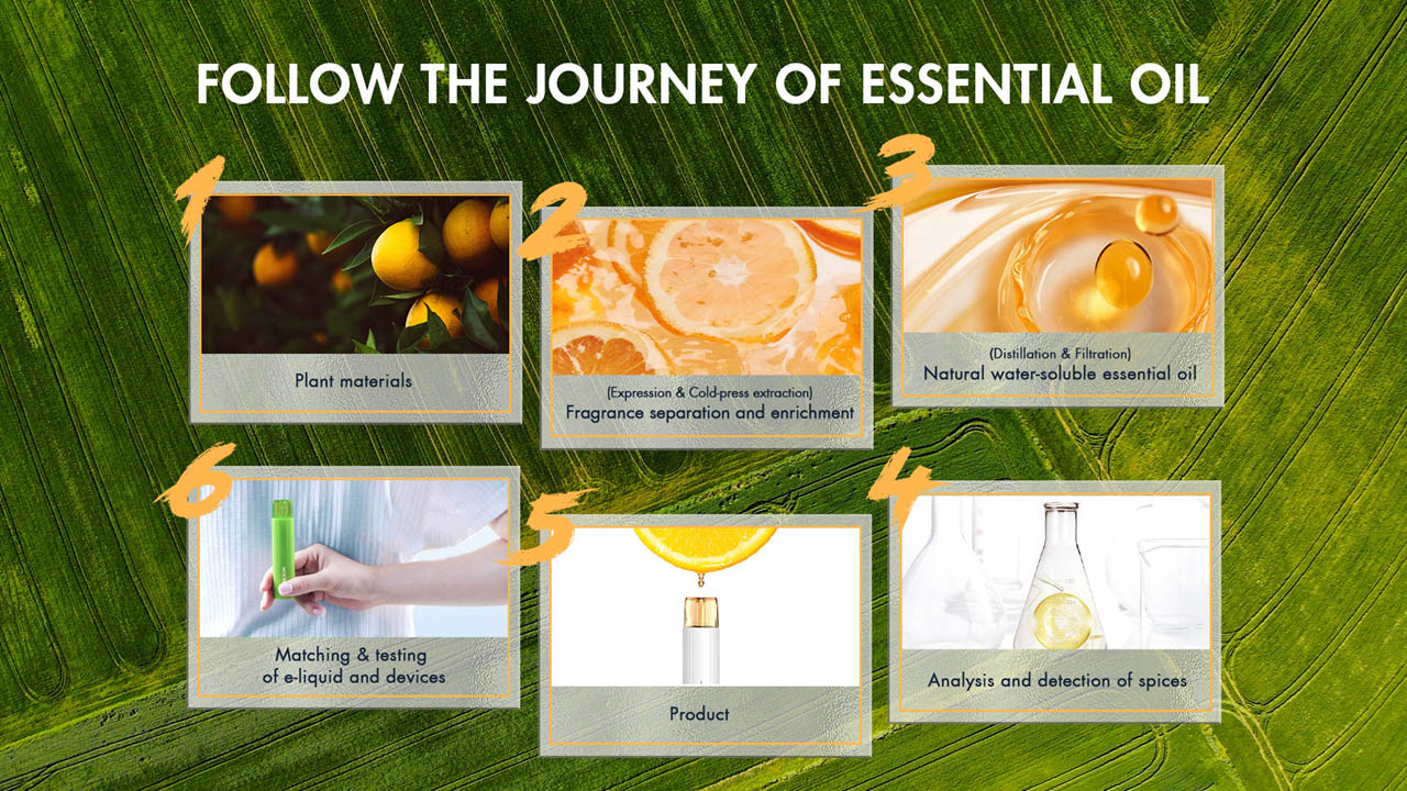 The Process of Extracting Essential Oil