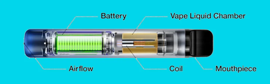 components of Disposable vape.webp