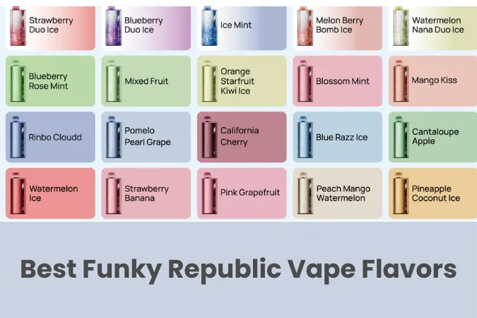 Top 10 Funky Republic Disposable Vape Flavors