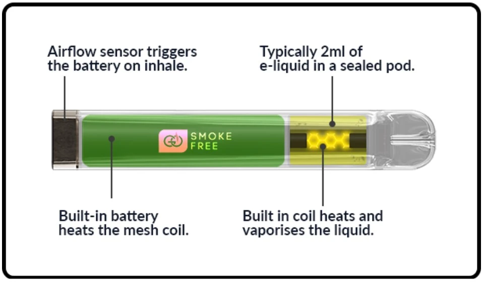 Components of a Disposable Vape